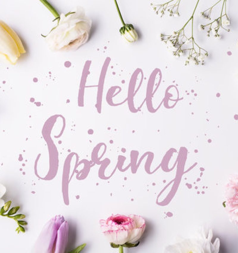 360_F_195975461_ua62UTxJYFhT45FCbbI3ZigoGbiTOrB8